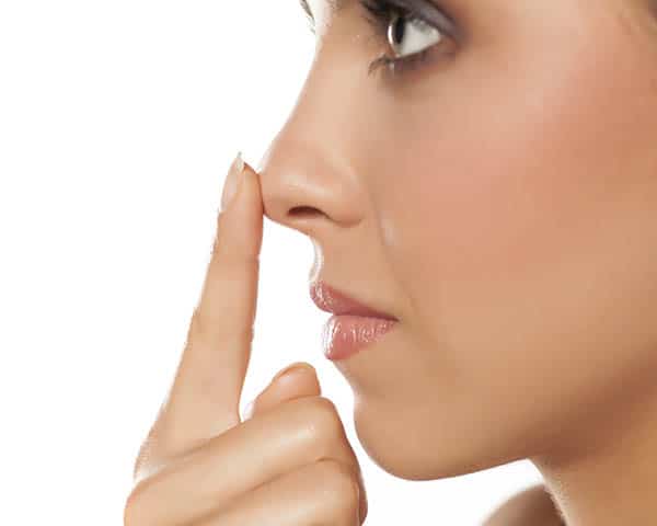 Detail Nose Image Nomer 14