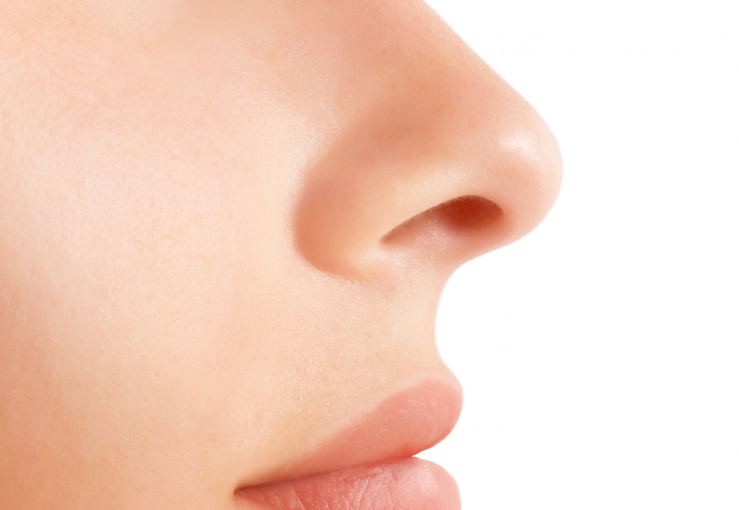 Detail Nose Image Nomer 15