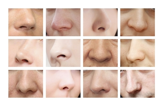 Detail Nose Image Nomer 17