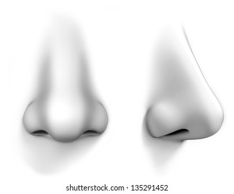 Detail Nose Image Nomer 18
