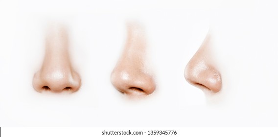 Detail Nose Image Nomer 19