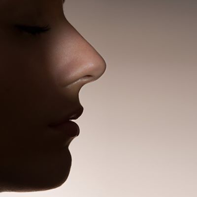 Detail Nose Image Nomer 29