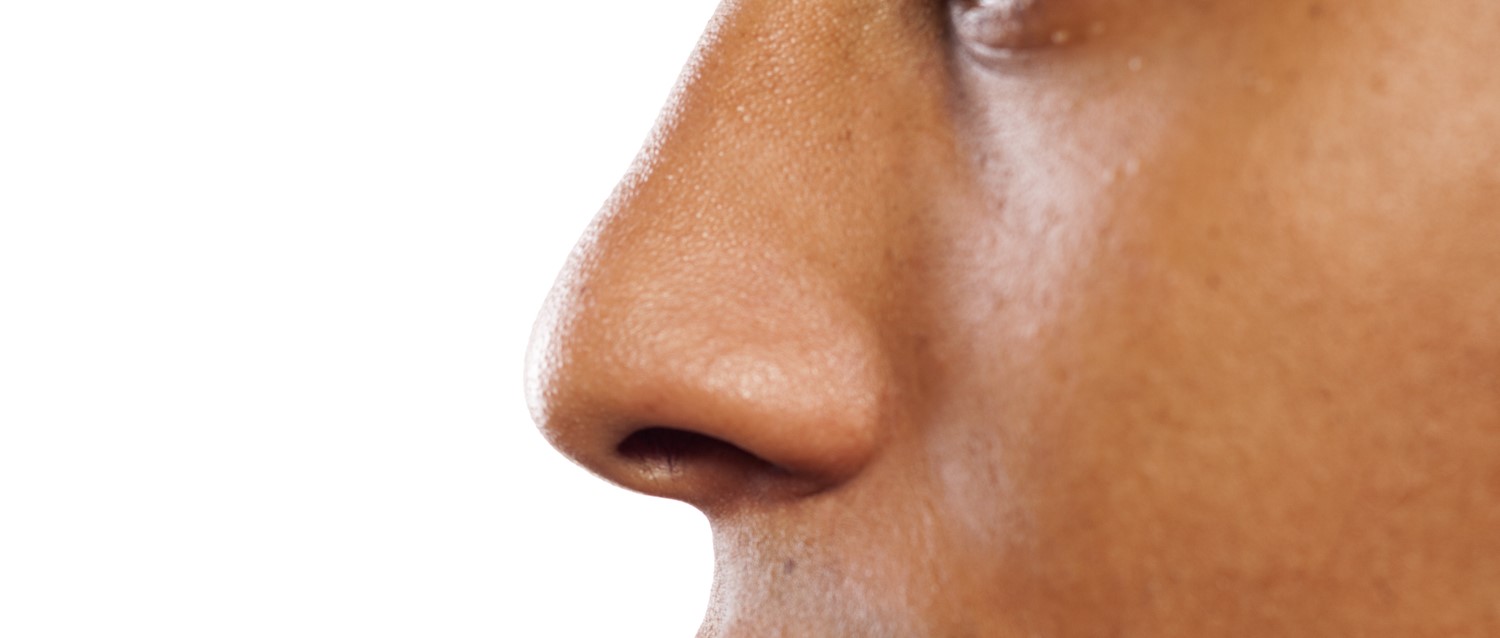 Detail Nose Image Nomer 32