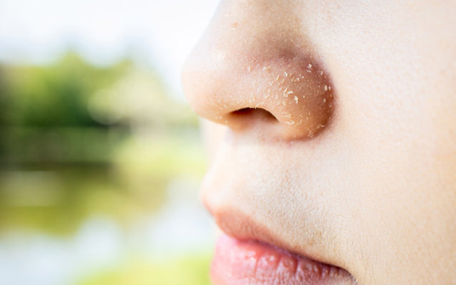Detail Nose Image Nomer 43