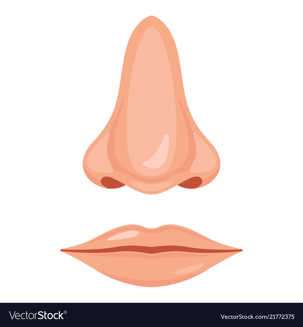Detail Nose Image Nomer 44