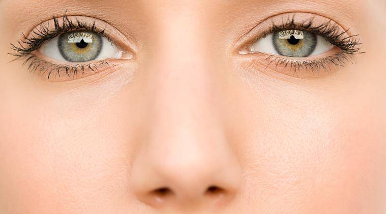 Detail Nose Image Nomer 49
