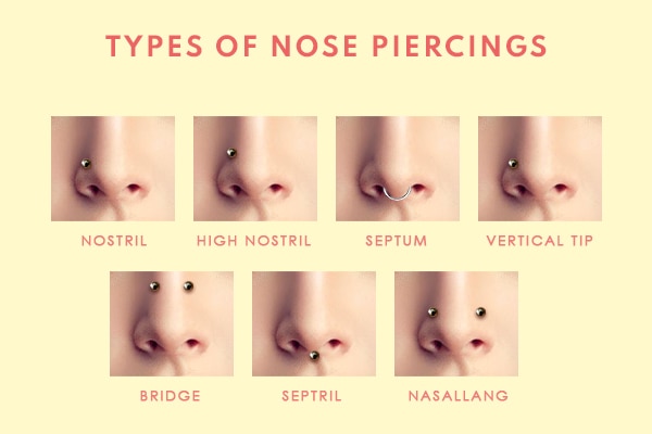 Detail Nose Image Nomer 55