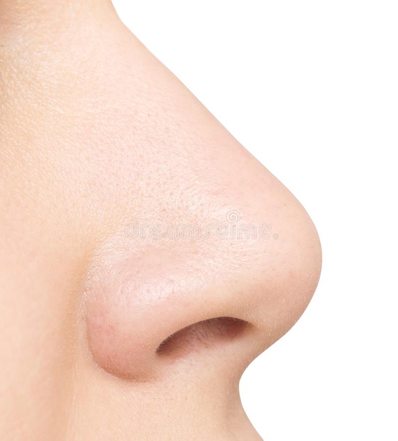 Detail Nose Image Nomer 8