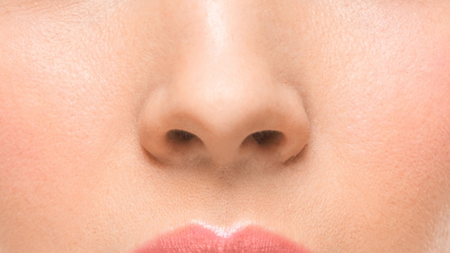 Detail Nose Image Nomer 9