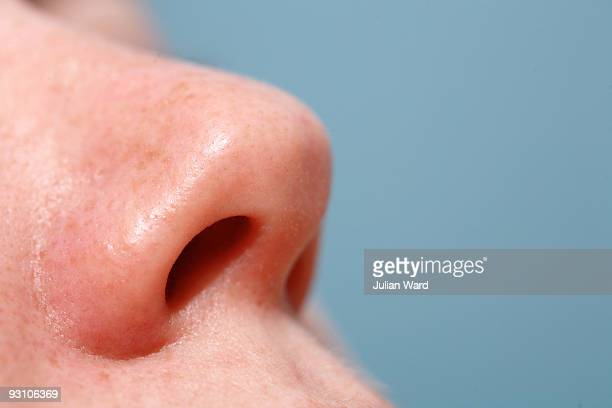 Detail Nose Image Nomer 10