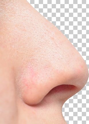 Detail Nose Images Free Nomer 10