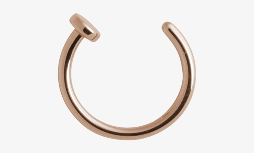 Detail Nose Ring Transparent Background Nomer 15
