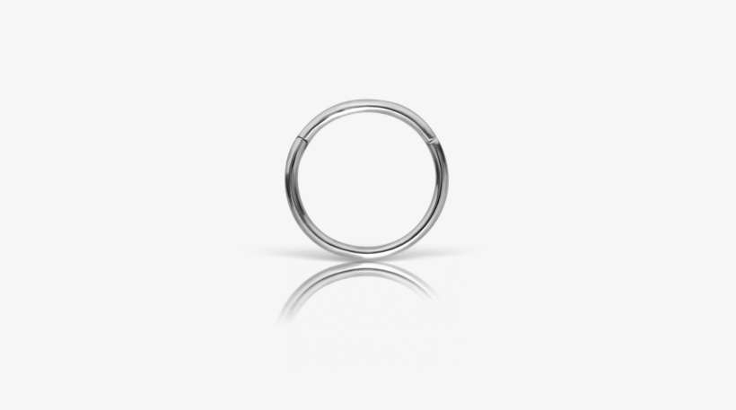 Detail Nose Ring Transparent Background Nomer 19