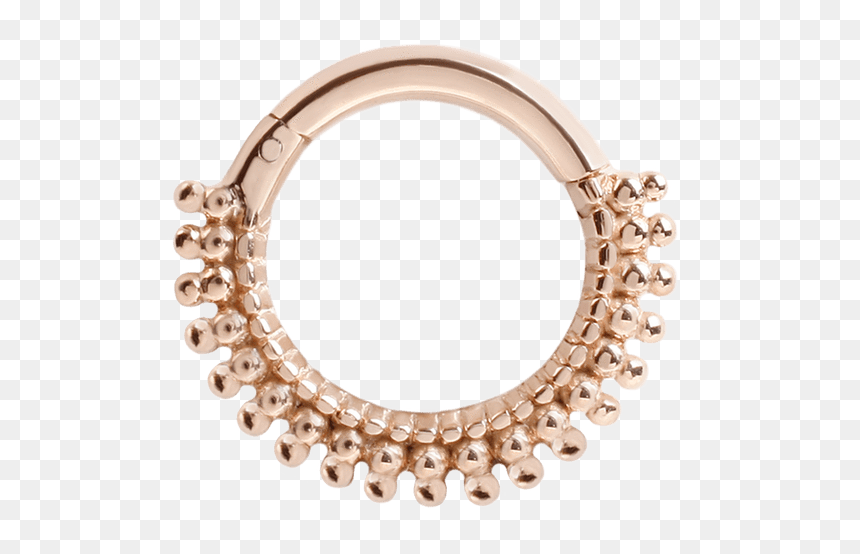 Detail Nose Ring Transparent Background Nomer 29