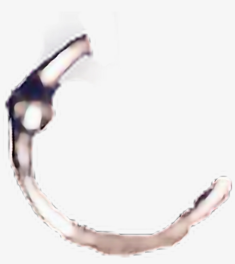 Detail Nose Ring Transparent Background Nomer 31