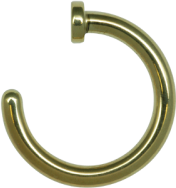 Detail Nose Ring Transparent Background Nomer 47