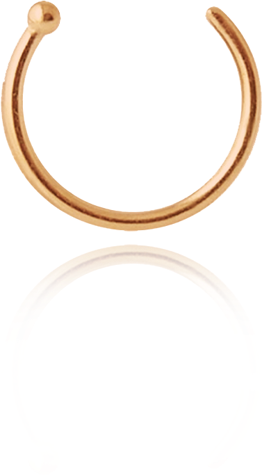 Detail Nose Ring Transparent Background Nomer 9