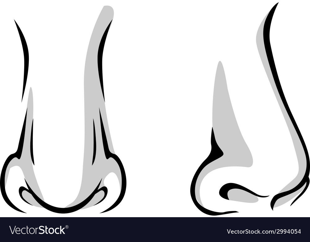 Detail Nose Vector Nomer 9