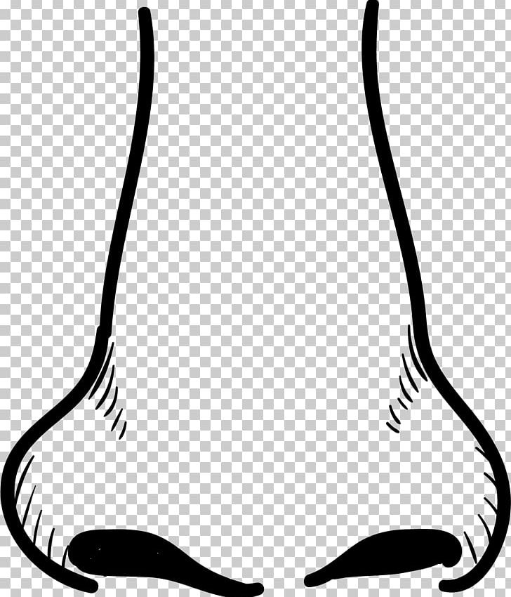 Detail Nose Vector Png Nomer 11