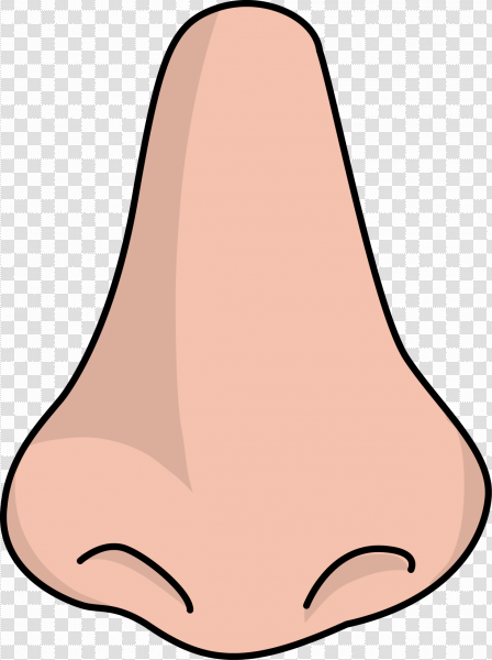 Detail Nose Vector Png Nomer 16