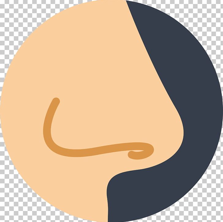 Detail Nose Vector Png Nomer 20