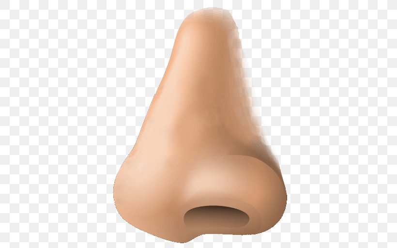 Detail Nose Vector Png Nomer 22