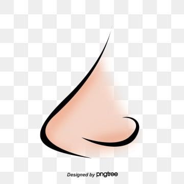 Detail Nose Vector Png Nomer 33