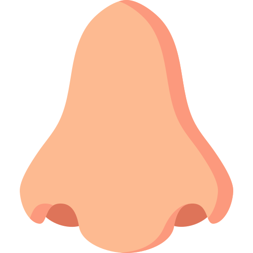 Detail Nose Vector Png Nomer 5