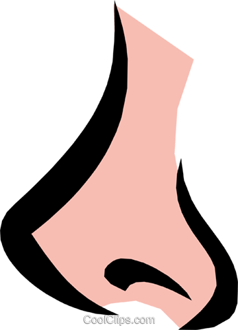 Detail Nose Vector Png Nomer 42