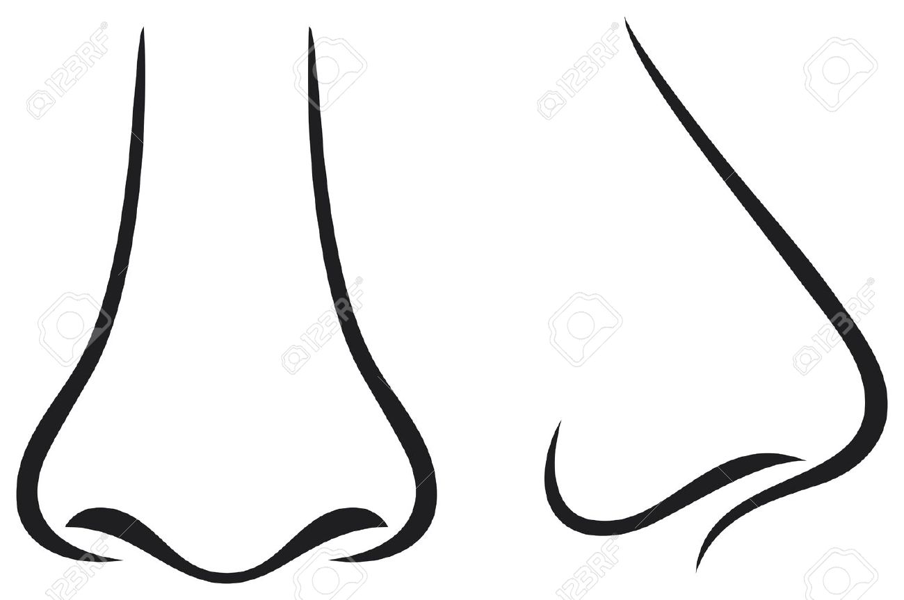 Detail Nose Vector Png Nomer 6