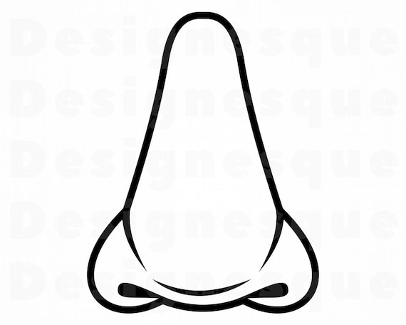 Detail Nose Vector Png Nomer 45