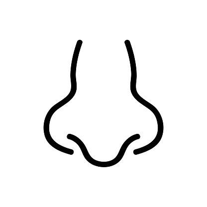 Detail Nose Vector Png Nomer 47