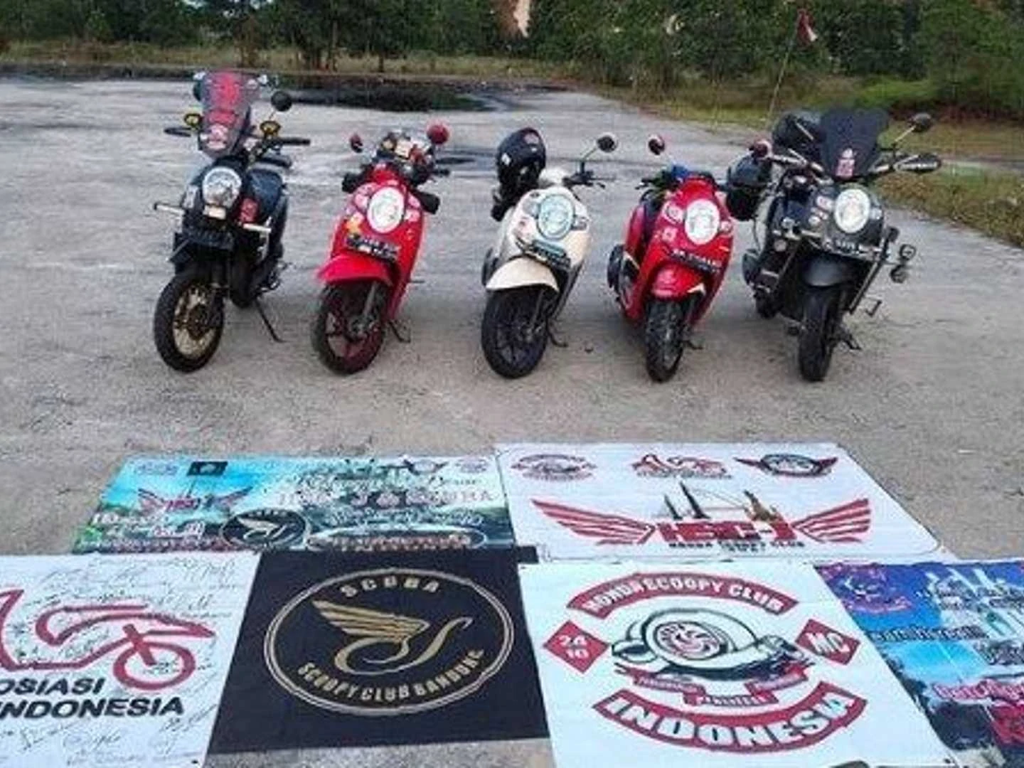 Detail Logo Komunitas Scoopy Nomer 7