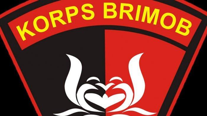 Detail Logo Korps Brimob Nomer 5