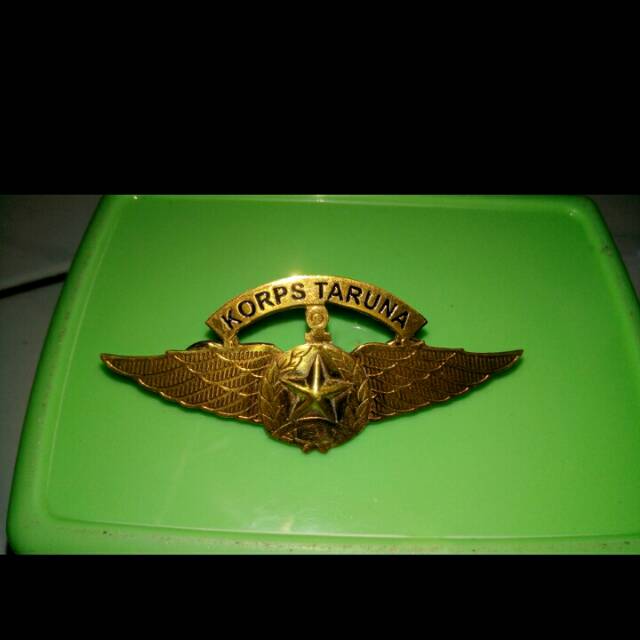 Detail Logo Korps Taruna Nomer 20