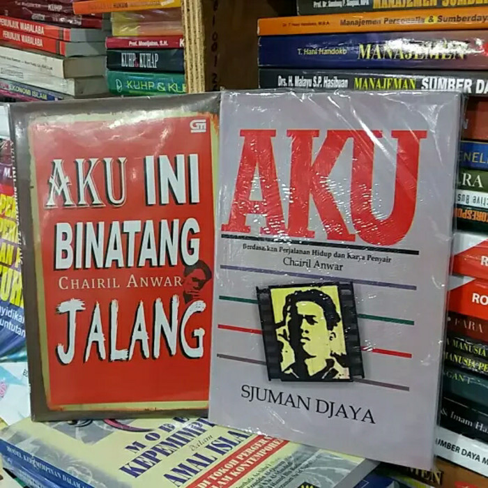 Detail Novel Aku Chairil Anwar Nomer 50