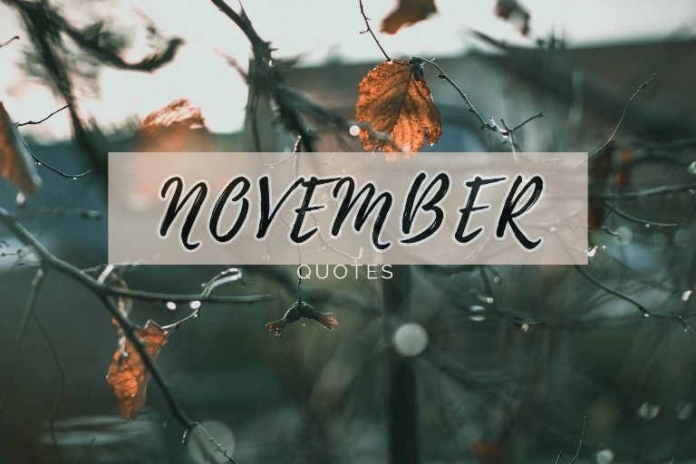 Detail November Quotes Indonesia Nomer 3