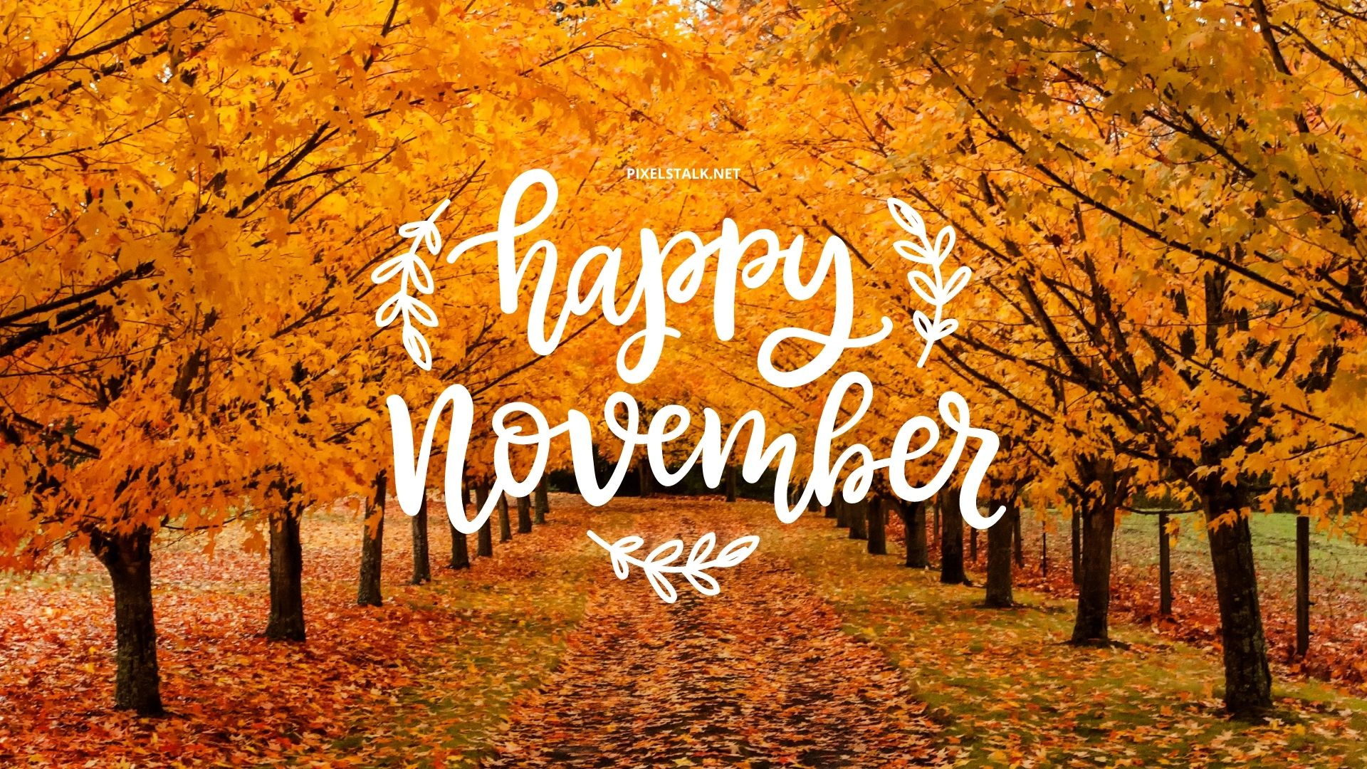 Download November Wallpaper Nomer 23