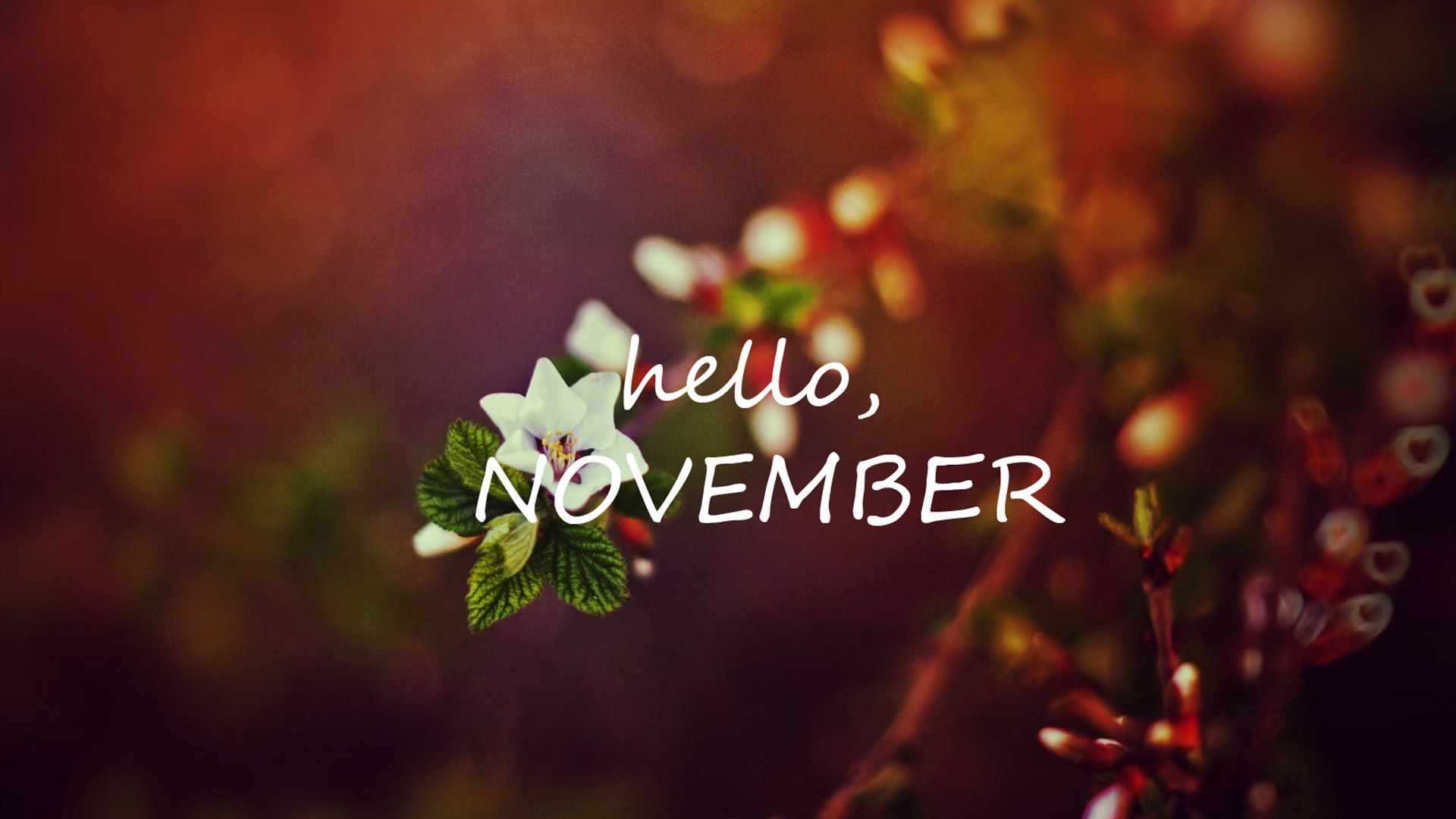 Detail November Wallpaper Nomer 30