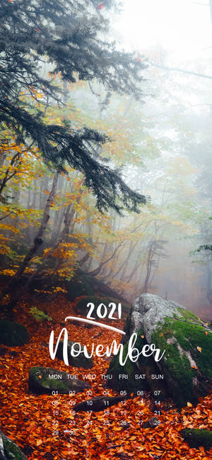 Detail November Wallpaper Nomer 34