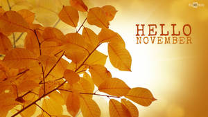 Detail November Wallpaper Nomer 45