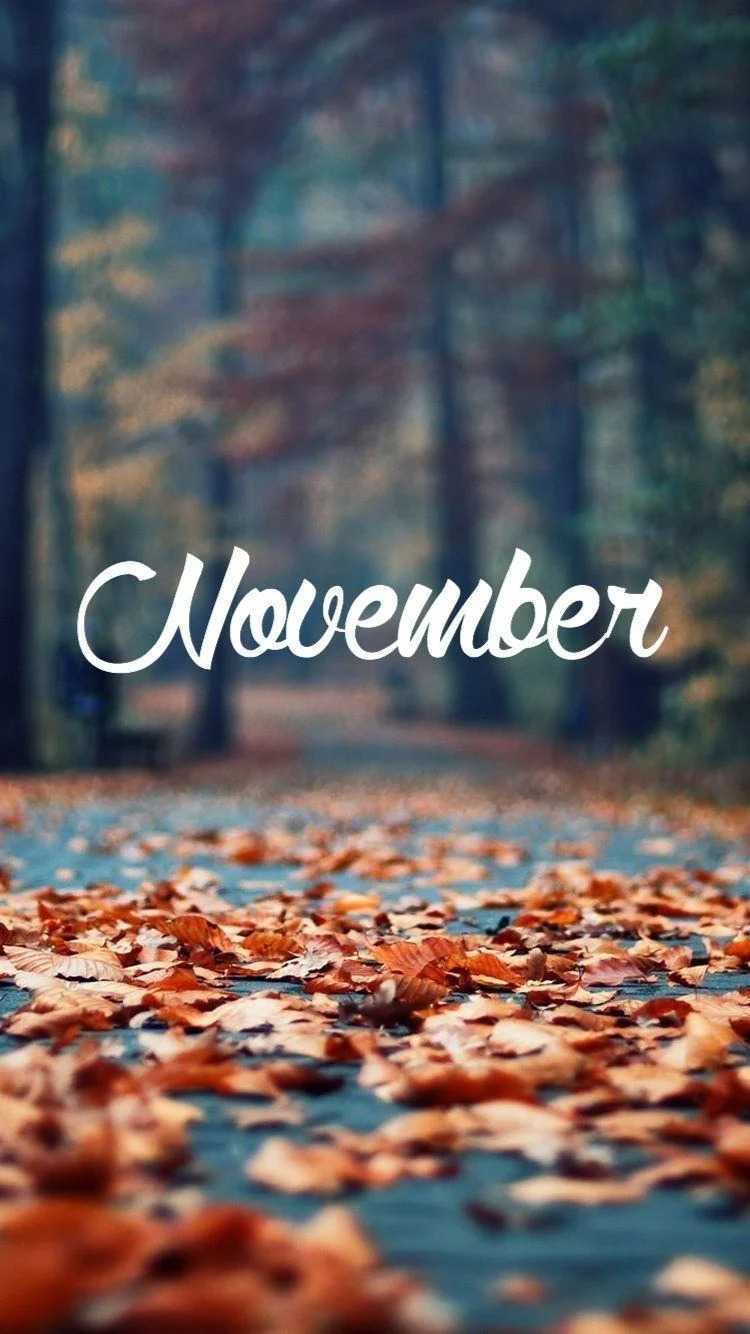 Detail November Wallpaper Nomer 6