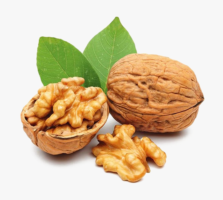 Nut Transparent - KibrisPDR