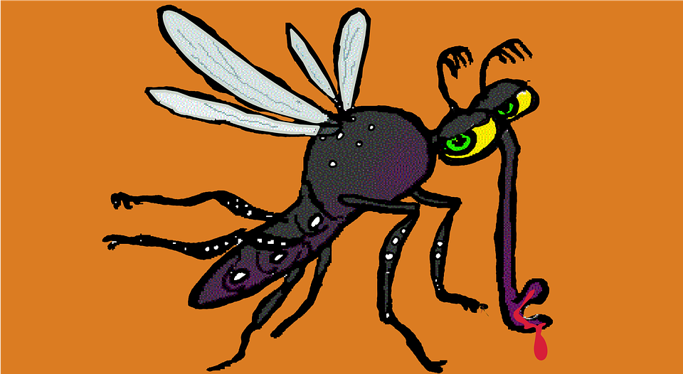 Detail Nyamuk Aedes Aegypti Png Nomer 39