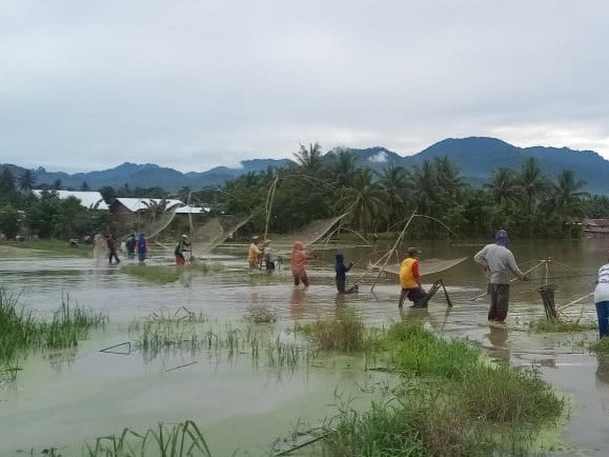 Detail Nyari Ikan Di Sawah Nomer 33