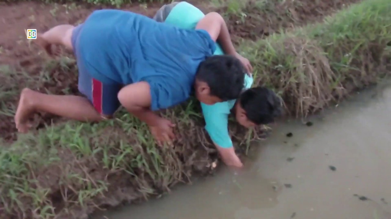 Detail Nyari Ikan Di Sawah Nomer 5