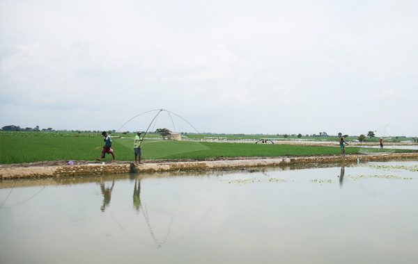 Detail Nyari Ikan Di Sawah Nomer 36