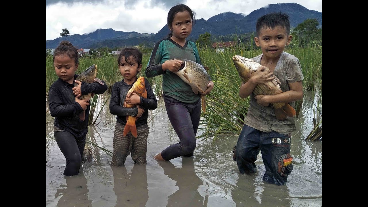 Detail Nyari Ikan Di Sawah Nomer 8