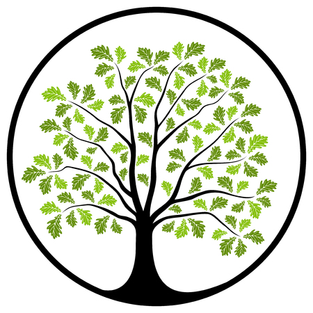 Detail Oak Tree Clipart Nomer 17