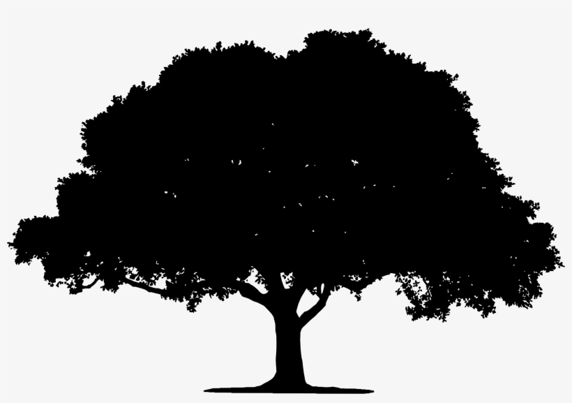 Detail Oak Tree Clipart Nomer 26